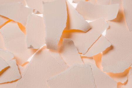 Torn paperの写真素材