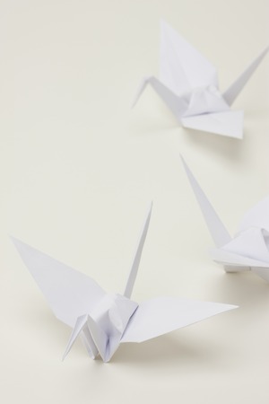 Paper Craneの写真素材
