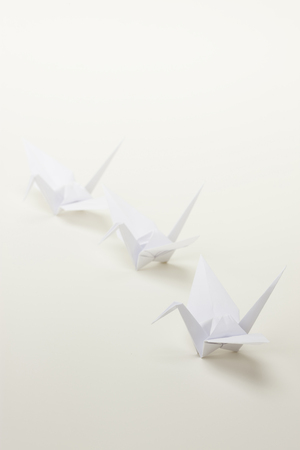 Paper Craneの写真素材