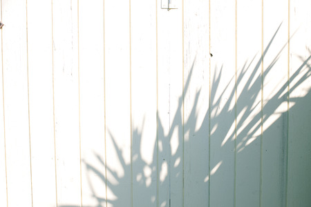 White wallの写真素材