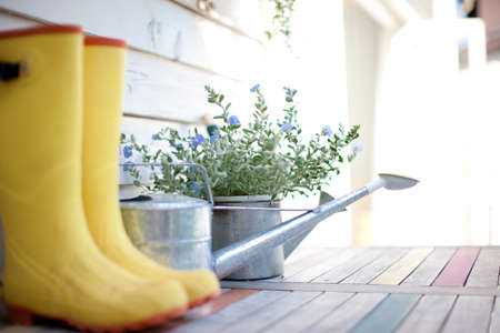 Gardening
