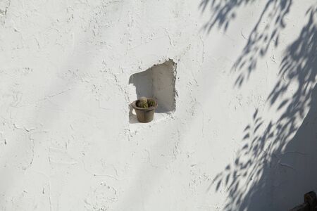 Design Wallの写真素材