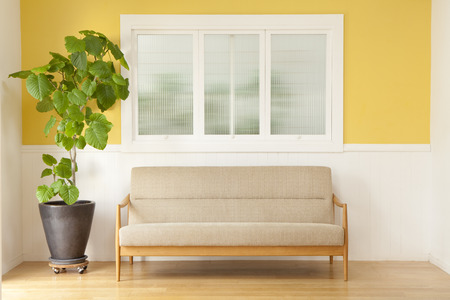 Sofa and houseplants