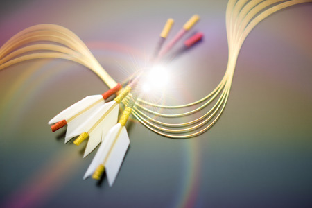 Mizuhiki and Hamayaの写真素材