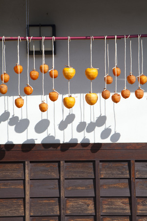 Persimmon suspendedの写真素材