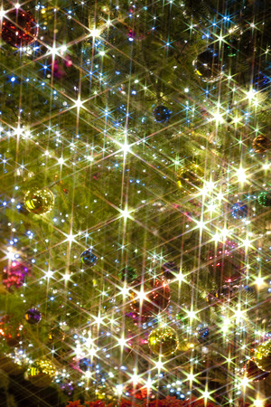Christmas treeの写真素材