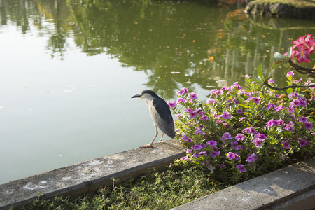 Hotels in Bali