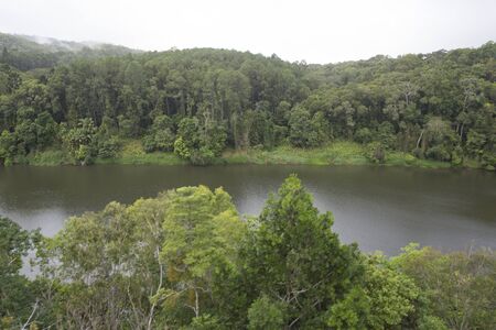 Kuranda rainforest