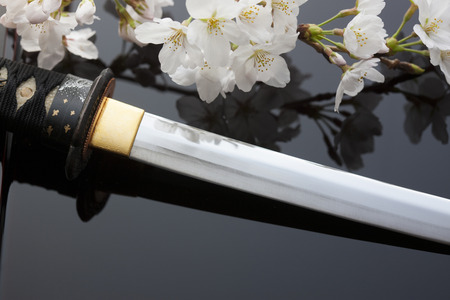 Sakura and the Swordの写真素材