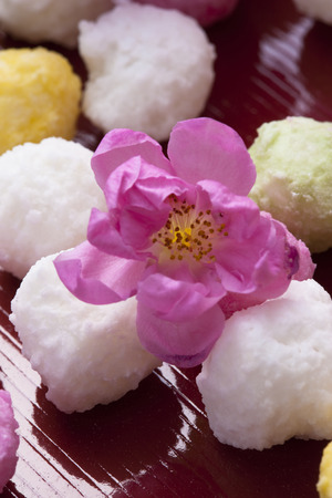 Peach flowers and HinaARAREの写真素材