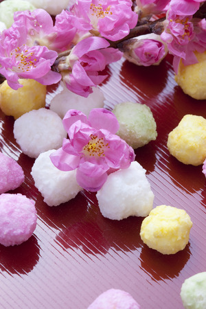 Peach flowers and HinaARAREの写真素材