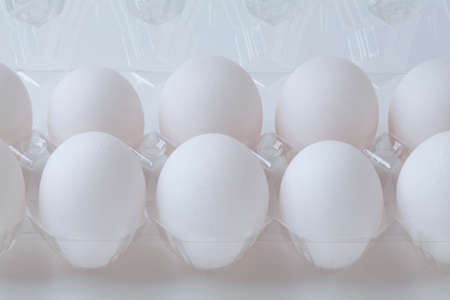 Egg