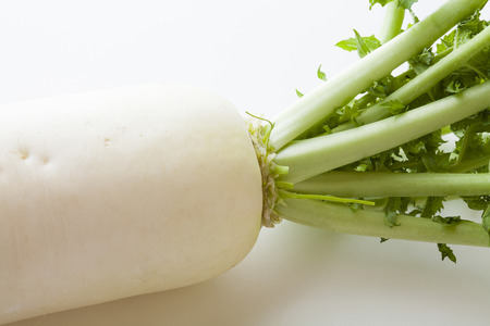 Daikon radishの写真素材