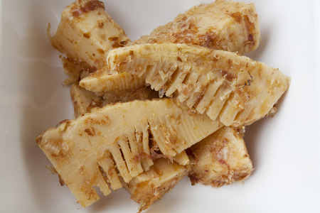 Tosa bamboo shoots stewedの写真素材