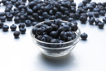 Blueberryの写真素材