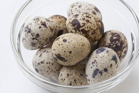 Quail eggsの写真素材
