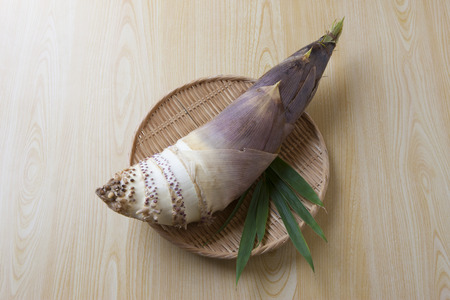 Picked fresh bamboo shootsの写真素材