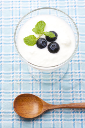 Blueberry yogurtの写真素材