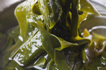 Wakame seaweedの写真素材
