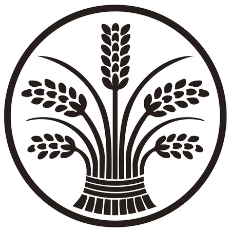 Rice Standing in thread loopの写真素材