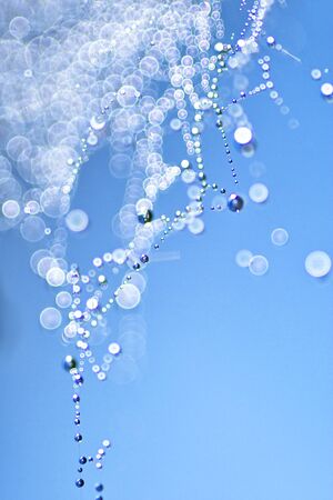 Water droplets