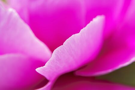 Buttonの写真素材