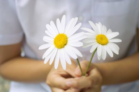 Girl with flowerの写真素材