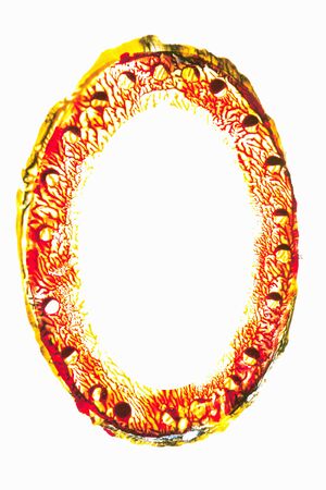 Frameの写真素材