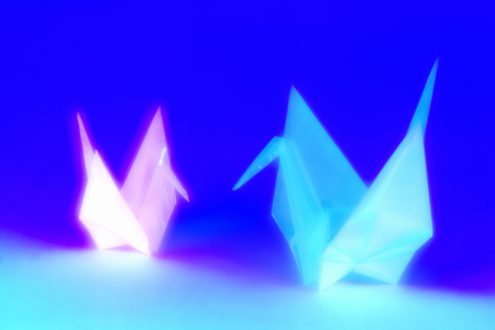 Black lightの写真素材