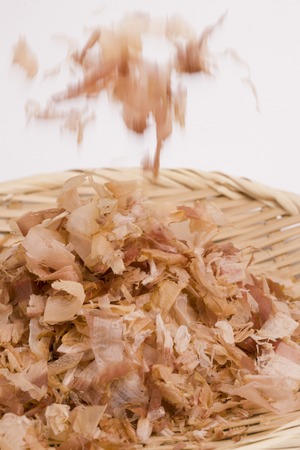 Krissの写真素材