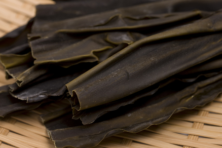 Hidaka konbuの写真素材