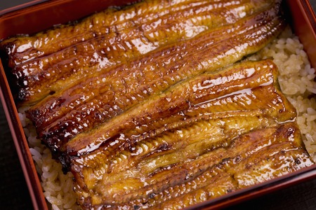 Broiled eel
