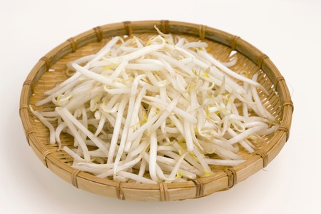 Bean sproutsの写真素材