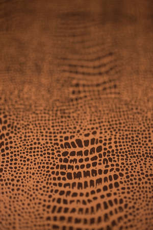 Lacquered paper