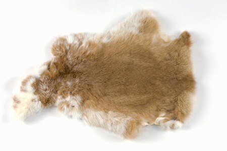 Rabbit furの写真素材