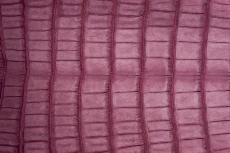 Crocodile leather