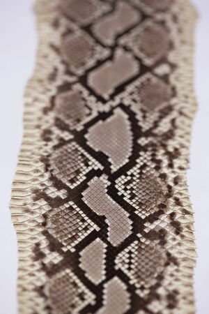 Snake leather