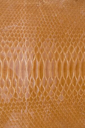 Snake leather