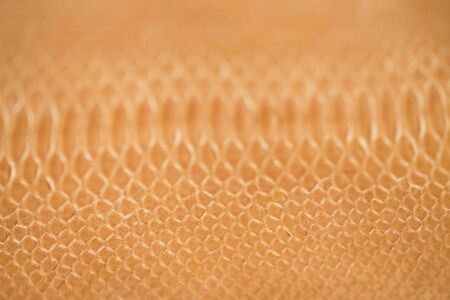 Snake leather