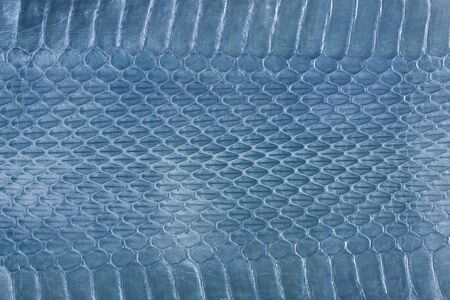 Snake leather