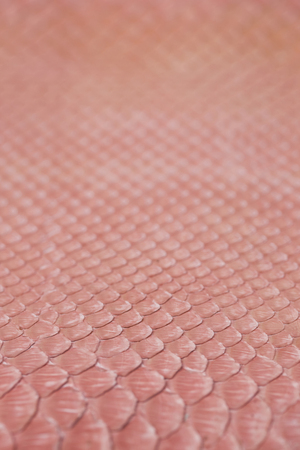 Snake leather