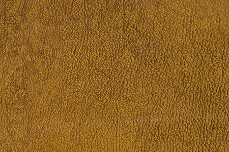 Sheep leatherの写真素材