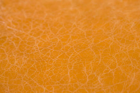 Cowhide  calfの写真素材