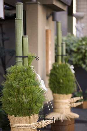 Kadomatsuの写真素材