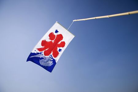 Bear flag of the shaved ice