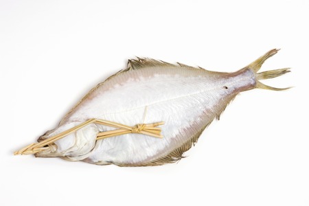 Flounder fish
