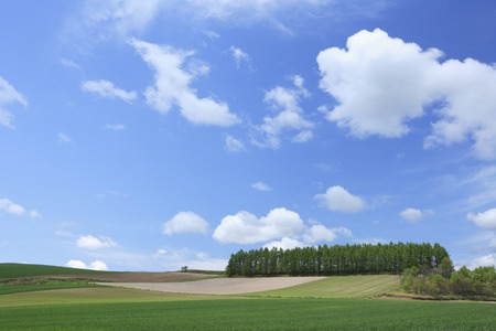 Rural scenery of spring