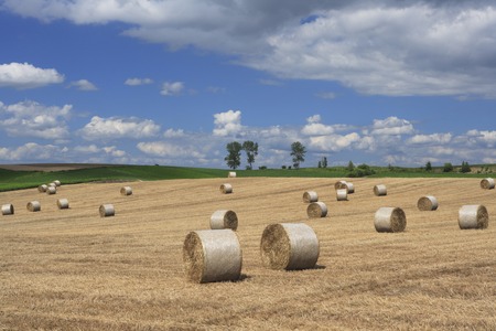 Rural landscapeの写真素材