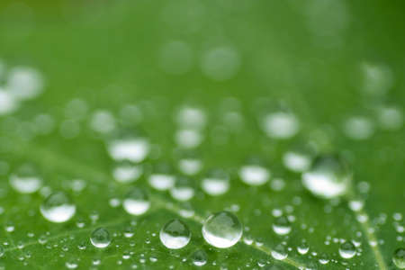 Water drop image