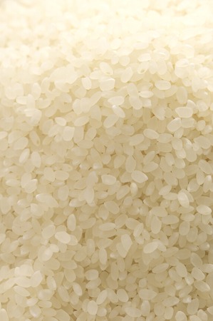 grainの写真素材